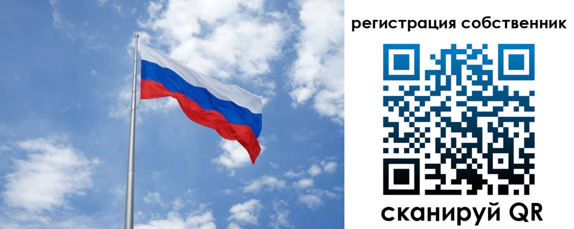 прописка для школы в Коле
