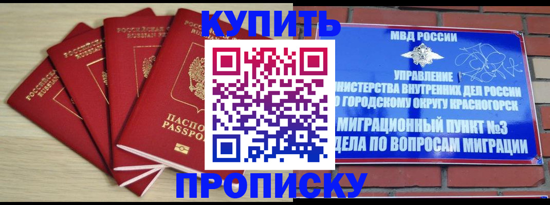 временная регистрация для всех в Коле